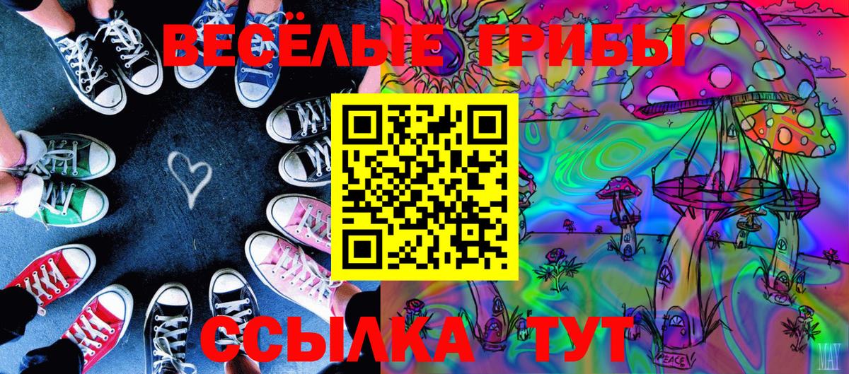 Псилоцибиновые грибы MAGIC MUSHROOMS  как найти наркотики  Лосино-Петровский  Псилоцибиновые грибы Psilocybe  Вход с VPN 